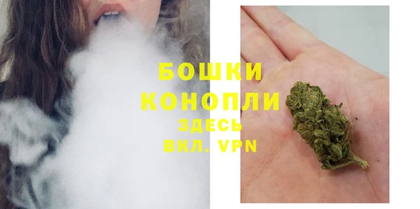 ПСИЛОЦИБИНОВЫЕ ГРИБЫ Заволжье