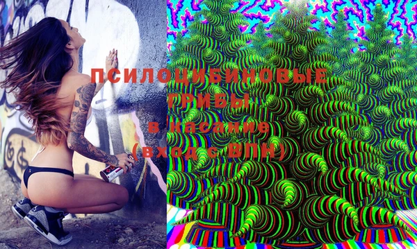 стафф Елабуга