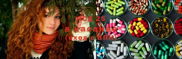 стафф Елабуга