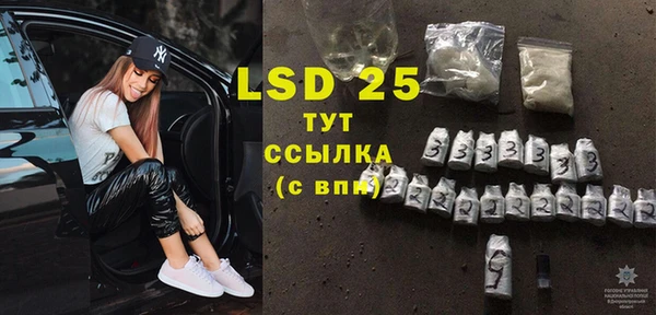 ГАЛЛЮЦИНОГЕННЫЕ ГРИБЫ Заводоуковск